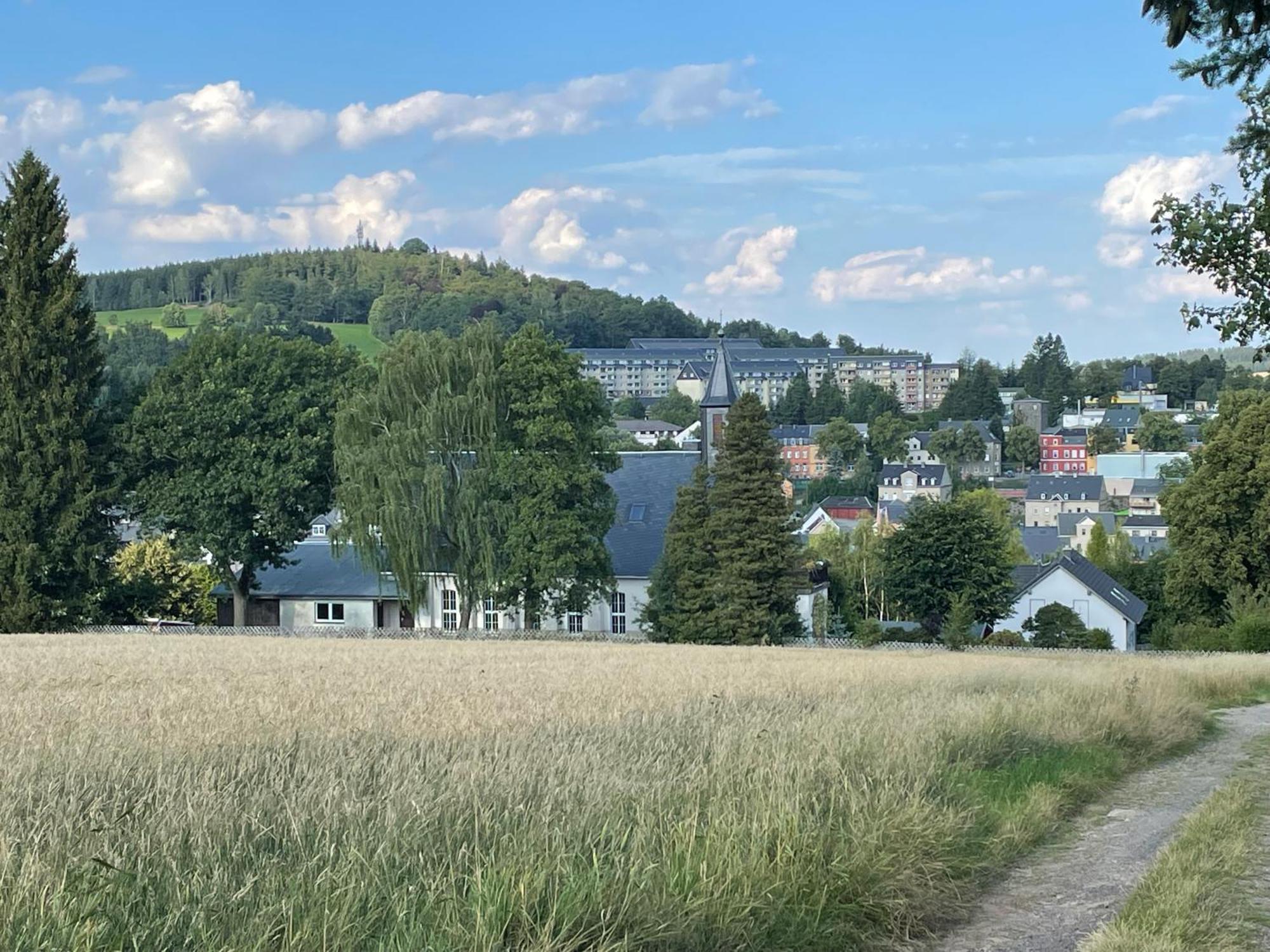 Ferienwohnung Greifenbach, Gartennutzung, Haustiere Willkommen Geyer Esterno foto