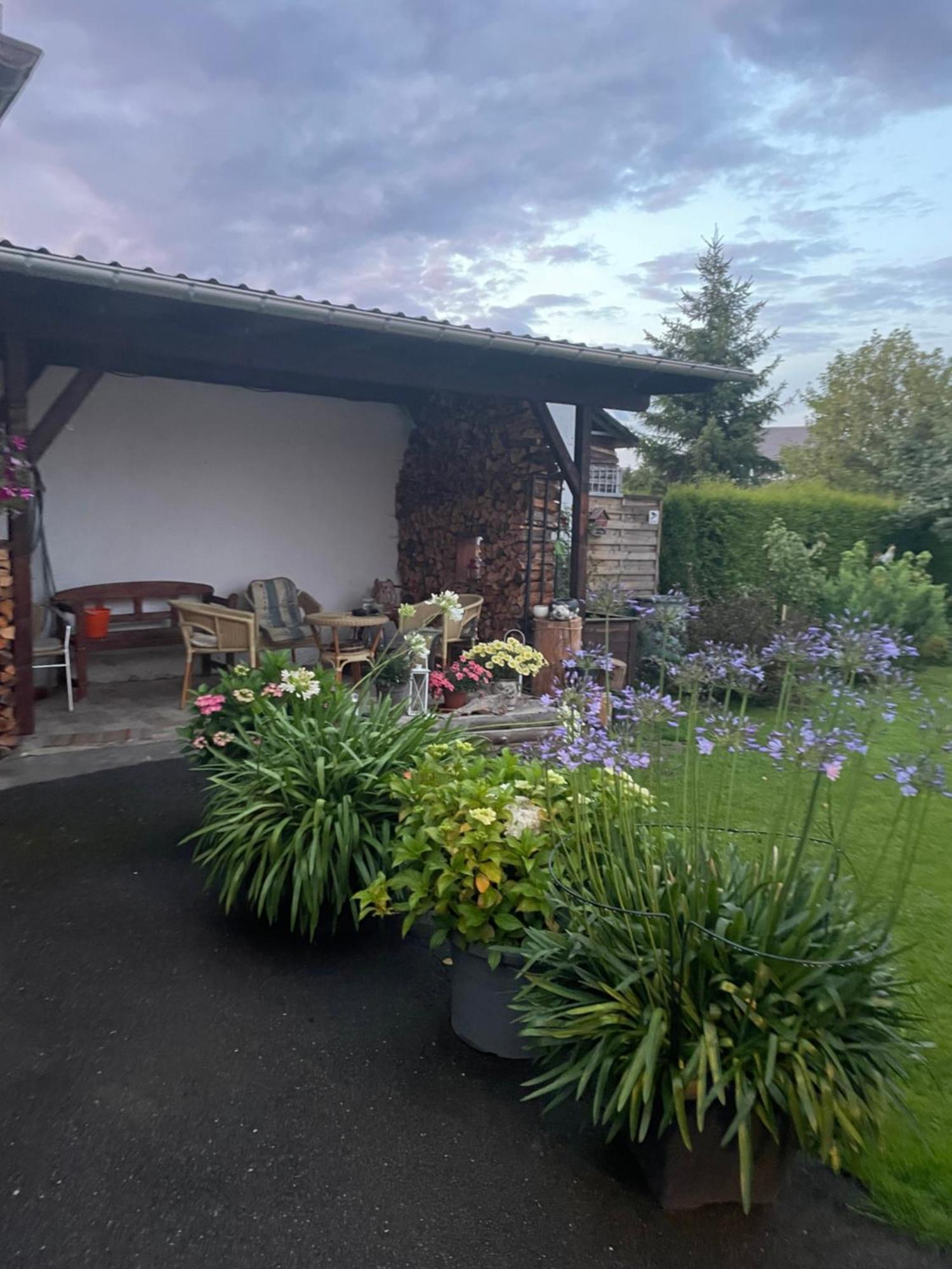 Ferienwohnung Greifenbach, Gartennutzung, Haustiere Willkommen Geyer Esterno foto