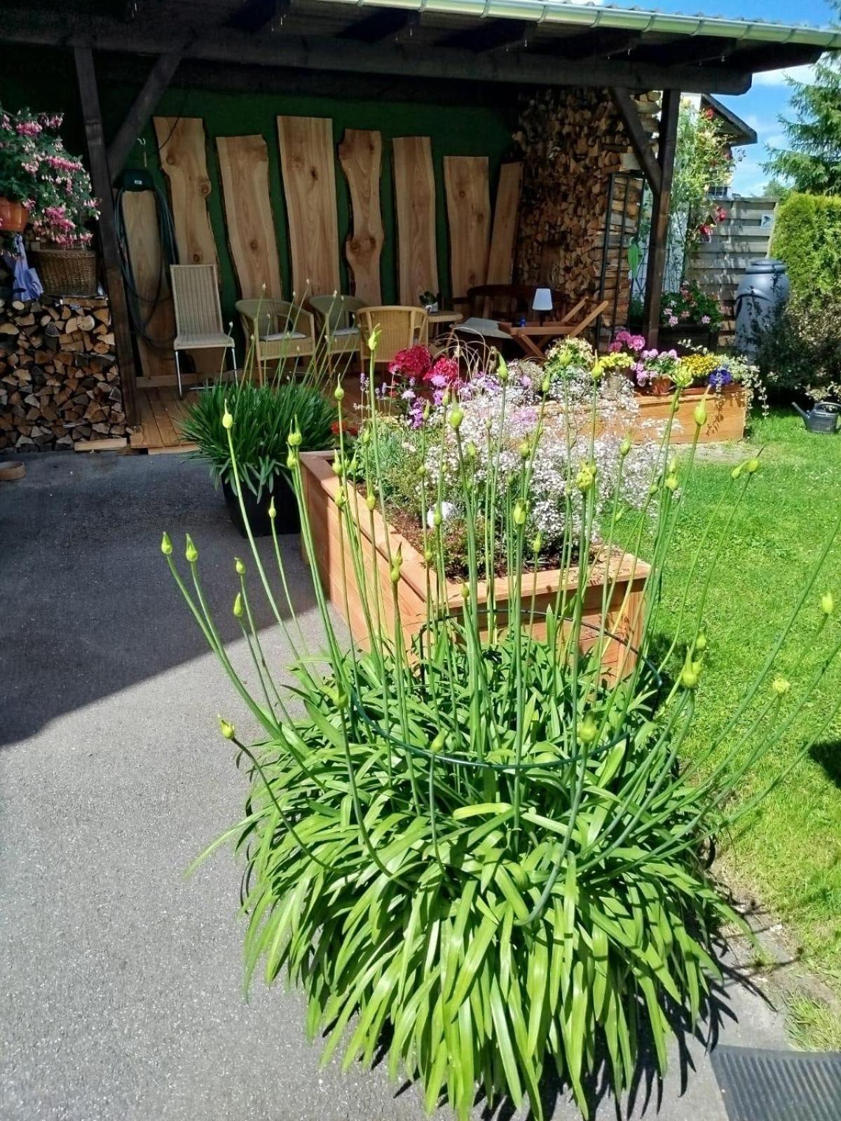 Ferienwohnung Greifenbach, Gartennutzung, Haustiere Willkommen Geyer Esterno foto